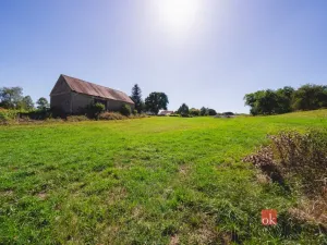 Prodej pozemku pro bydlení, Radnice - Svatá Barbora, 1091 m2