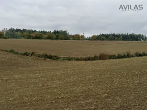 Prodej pole, Kondrac - Krasovice, Kondrac, 47058 m2