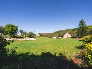 Prodej pozemku pro bydlení, Radnice - Svatá Barbora, 7544 m2