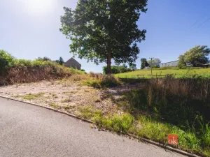 Prodej pozemku pro bydlení, Radnice - Svatá Barbora, 7544 m2