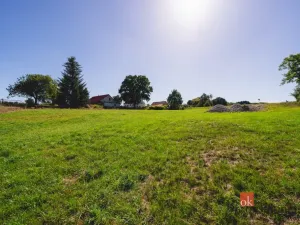 Prodej pozemku pro bydlení, Radnice - Svatá Barbora, 7544 m2