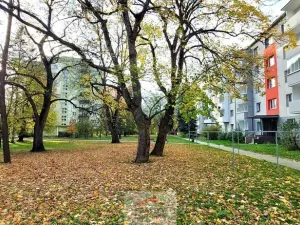 Pronájem bytu 2+1, Valašské Meziříčí - Krásno nad Bečvou, Na Šištotě, 58 m2