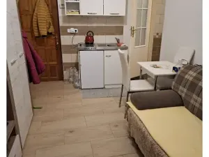 Pronájem bytu 1+kk, Holubice, Na Hrázi, 25 m2