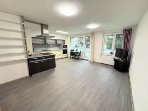 Pronájem bytu 1+kk, Jihlava, Kainarova, 46 m2