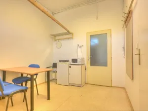 Prodej obchodního prostoru, Studenec, 265 m2