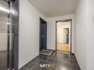Pronájem bytu 2+kk, Brno, Hvězdová, 58 m2