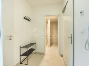 Pronájem bytu 1+kk, Praha - Chodov, Měchnovská, 41 m2