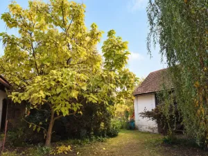 Prodej chalupy, Smidary - Chotělice, 90 m2