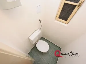 Pronájem bytu 1+1, Praha - Vinohrady, Fričova, 41 m2