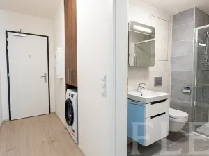 Pronájem bytu 1+kk, Praha - Žižkov, Hartigova, 32 m2