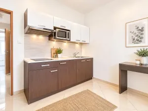Prodej bytu 1+kk, Brno, Vranovská, 29 m2