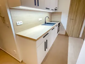 Pronájem bytu 2+kk, Praha - Nusle, Čiklova, 50 m2