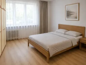 Pronájem bytu 2+1, Frýdek-Místek, 28. října, 52 m2
