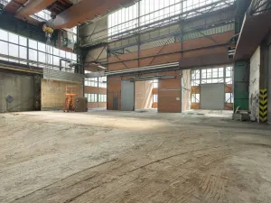 Pronájem výrobních prostor, Ostrava, 9648 m2