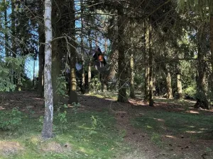 Prodej chaty, Borová, 53 m2