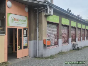 Prodej bytu 2+1, Praha - Břevnov, U páté baterie, 73 m2