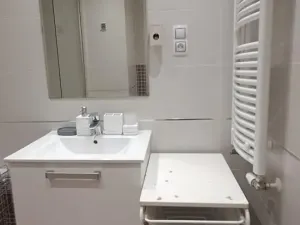 Pronájem bytu 2+1, Praha - Žižkov, Olšanská, 79 m2