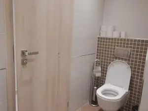 Pronájem bytu 2+1, Praha - Žižkov, Olšanská, 79 m2
