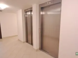 Pronájem bytu 2+1, Praha - Žižkov, Olšanská, 79 m2