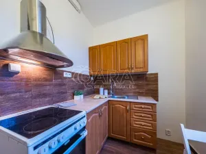 Pronájem bytu 1+1, Praha - Motol, Kudrnova, 29 m2