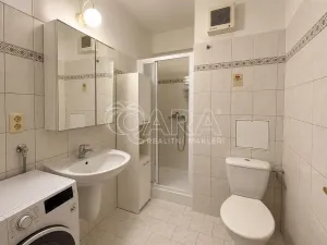 Pronájem bytu 1+kk, Praha - Žižkov, Dalimilova, 28 m2