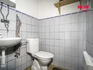 Prodej obchodního prostoru, Hlinsko, O. Nejedlého, 380 m2