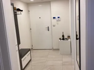 Prodej bytu 2+kk, Praha - Žižkov, Olšanská, 60 m2