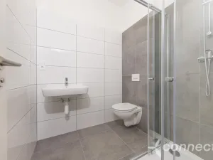 Pronájem bytu 1+1, Přerov - Přerov I-Město, Husova, 26 m2