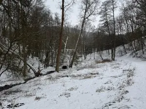 Prodej rybníku, Chotiměř, 6437 m2