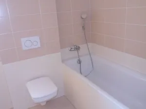 Pronájem rodinného domu, Líbeznice, Třebízského, 120 m2
