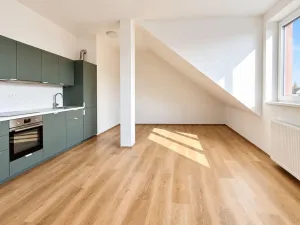 Pronájem bytu 2+kk, Praha - Libeň, Vosmíkových, 62 m2