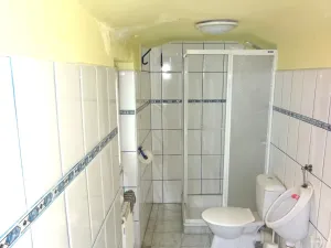 Prodej rodinného domu, Žatec, Masarykova, 289 m2