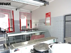 Prodej rodinného domu, Žatec, Masarykova, 289 m2