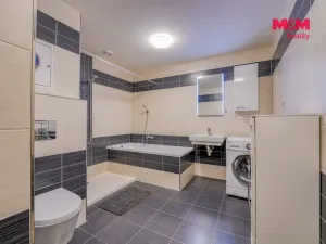 Prodej bytu 3+kk, Plzeň - Bolevec, U Velkého rybníka, 102 m2