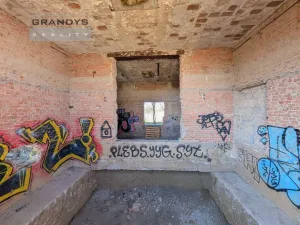 Prodej komerčního pozemku, Všestudy - Dušníky nad Vltavou, 42524 m2