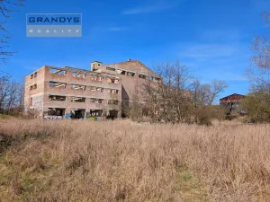 Prodej komerčního pozemku, Všestudy - Dušníky nad Vltavou, 42524 m2