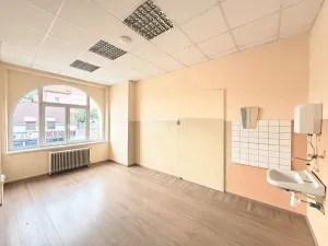 Prodej vícegeneračního domu, Milevsko, Gen. Svobody, 983 m2