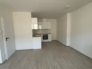 Pronájem bytu 2+kk, Klimkovice, Resnerova, 59 m2