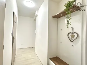Pronájem bytu 1+1, Olomouc, Wolkerova, 34 m2