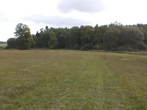 Prodej pole, Tachov, 2776 m2