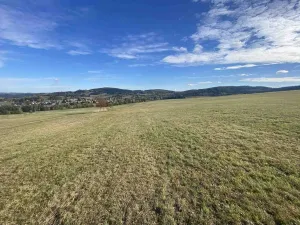Prodej pole, Zdíkov, 2180 m2