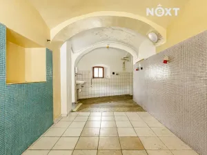 Prodej rodinného domu, Kaplice, Masná, 265 m2