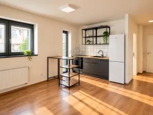 Pronájem bytu 2+kk, Brno - Štýřice, Sovinec, 42 m2