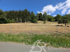 Prodej pozemku, Petrovice u Sušice - Pařezí, 4773 m2