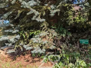 Prodej chaty, Žihobce - Bílenice, 100 m2