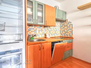 Pronájem bytu 3+kk, Praha - Řepy, Skuteckého, 75 m2