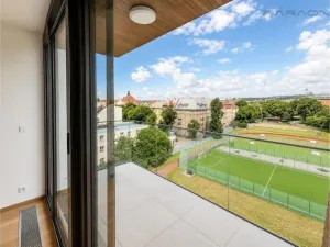 Pronájem bytu 2+kk, Praha - Karlín, Švarcova, 55 m2