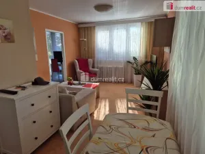 Pronájem bytu 3+1, České Budějovice - České Budějovice 7, L. M. Pařízka, 50 m2