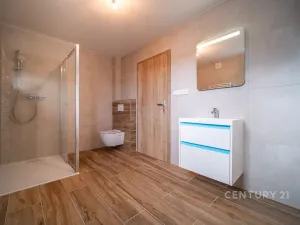 Prodej rodinného domu, Homole, 161 m2