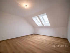 Prodej rodinného domu, Homole, 161 m2